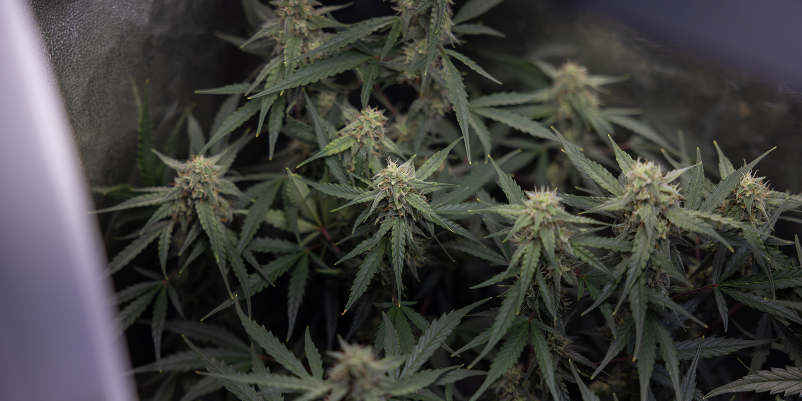 Best practices and timing Best practices and timing