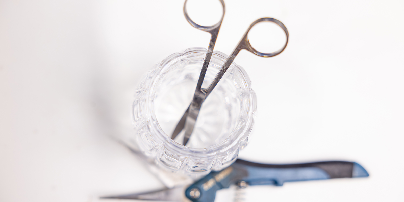 Tools and accessories for defoliation Tools and accessories for defoliation