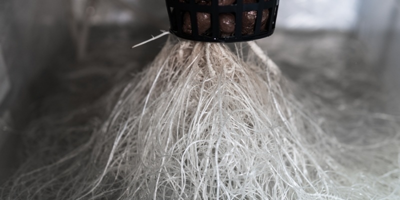 Rewarding results without root rot