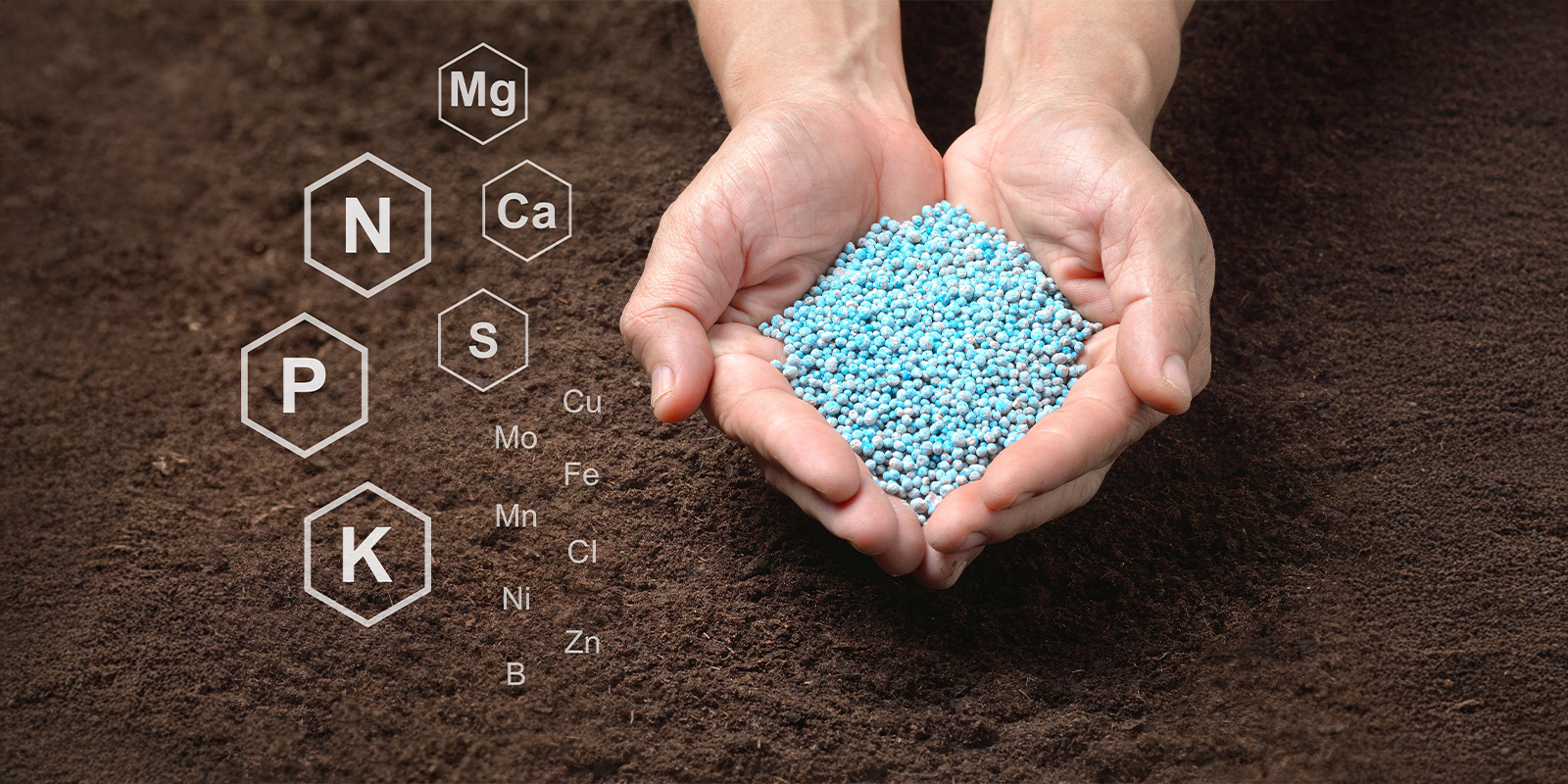 Synthetic nutrient solutions