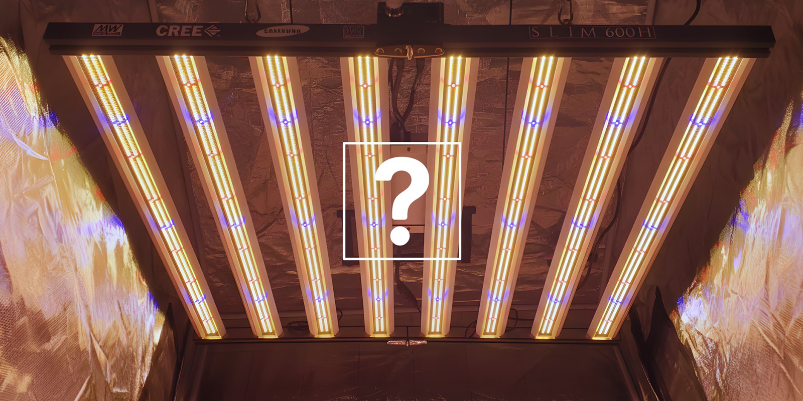 How to choose the proper light schedule