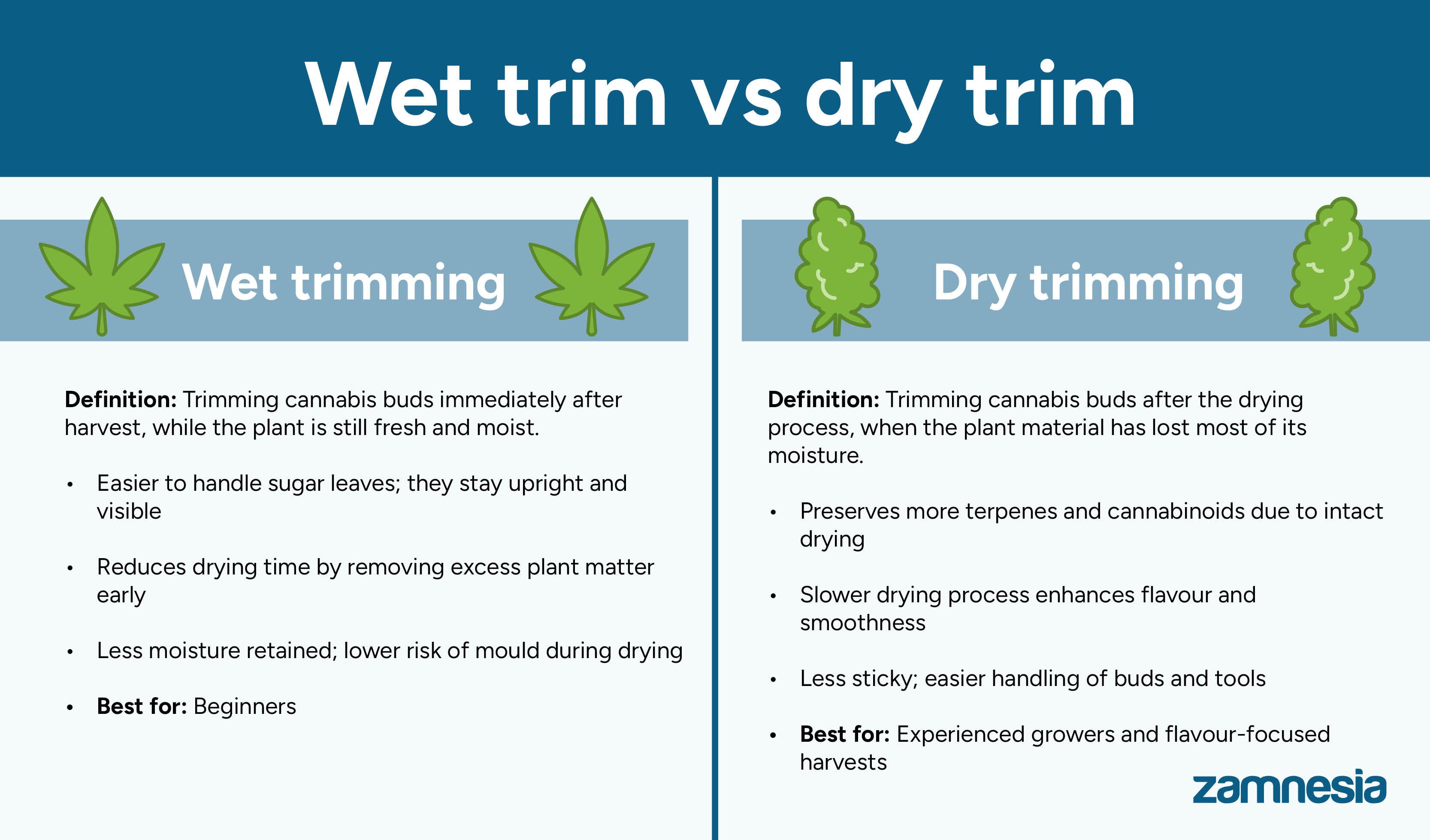 Wet trim vs dry trim: Which is better?