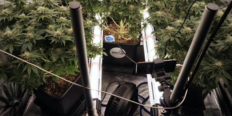 LED light bars (recommended)