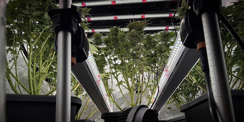 Step 1: Planning your under-canopy lighting layout