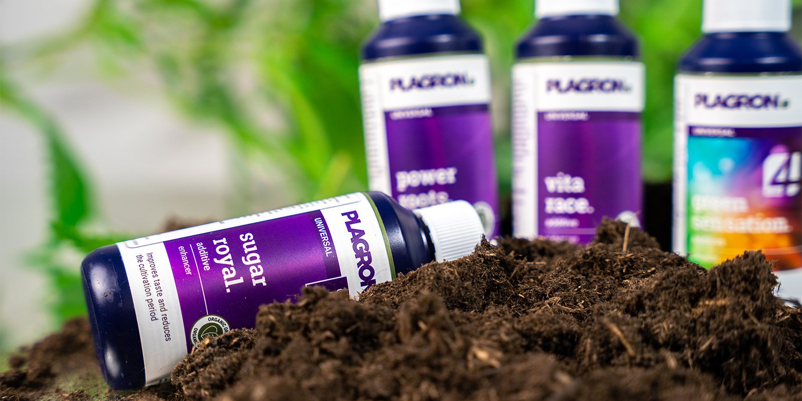Adjust nutrient schedule
