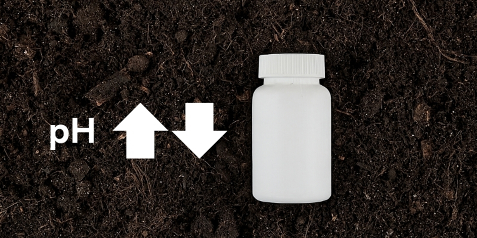 pH up and down products