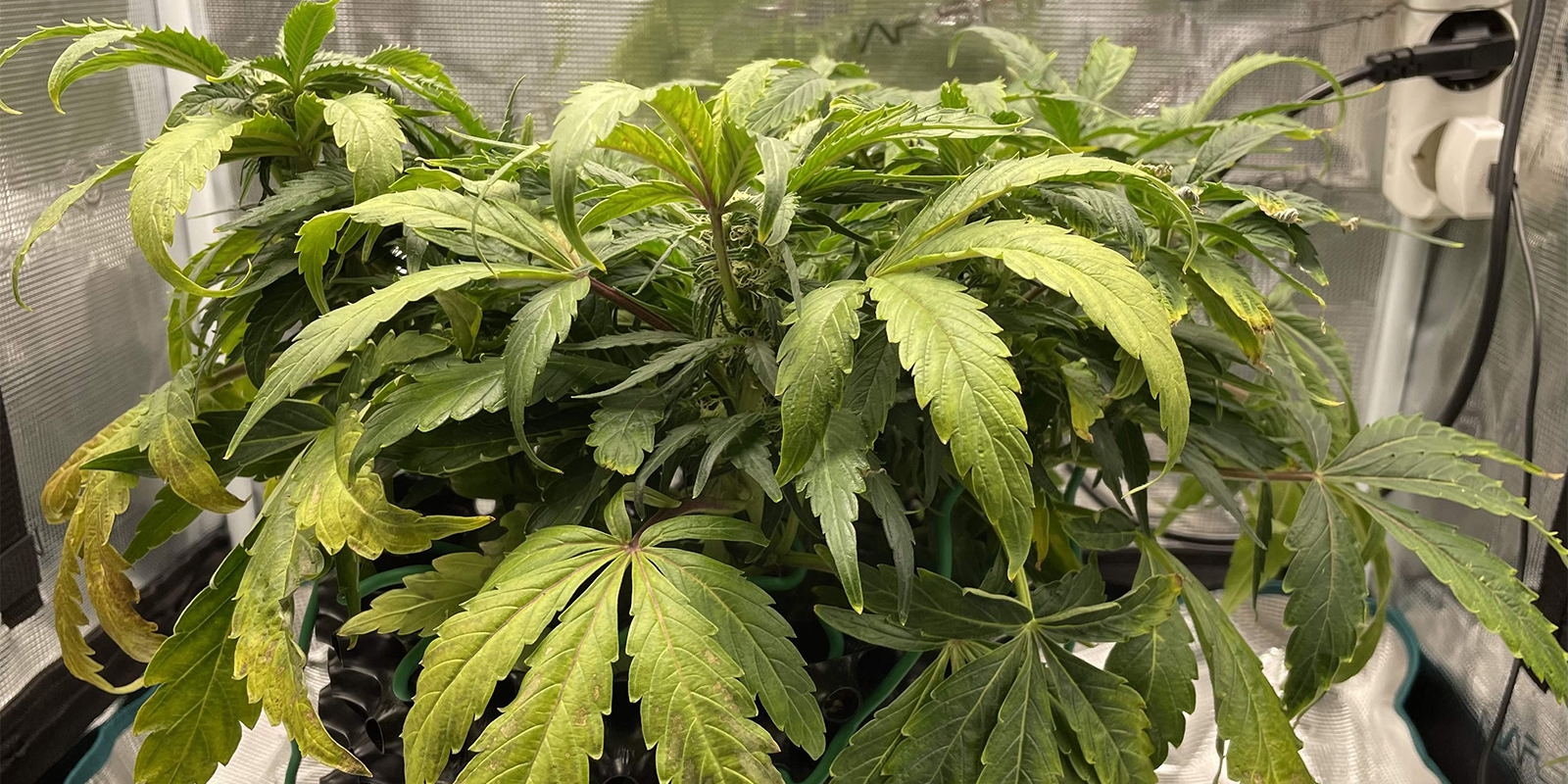 What happens if you don&rsquo;t fix it?