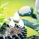 Flushing Cannabis: What You Need To Know