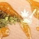 The ultimate guide to cannabis concentrates 