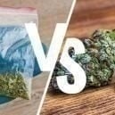 Synthetic Vs Natural Cannabis: What’s The Difference?