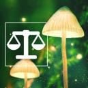 How To Weigh And Dose Psychedelics Safely