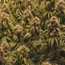 The secrets of the SOG method revealed