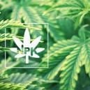 Everything About Mobile And Immobile Plant Nutrients