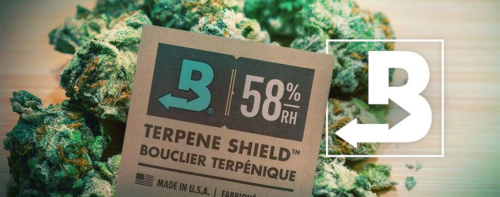 How To Keep Your Weed Extra-Fresh With Boveda