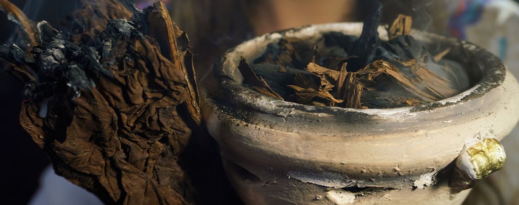 7 Sacred Plants From Around The Globe