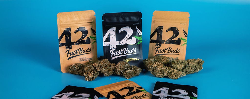 FastBuds: Dispensary-Grade Weed In Record Time