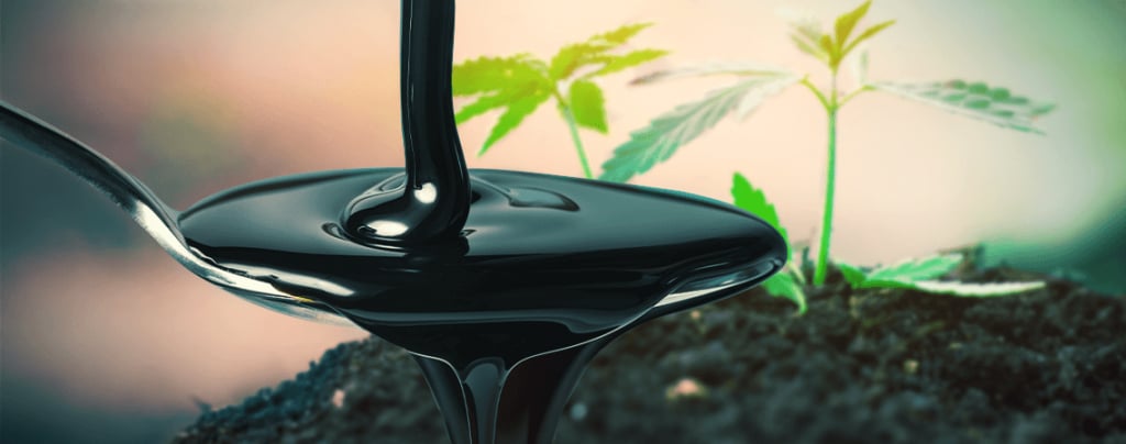Molasses And Cannabis: Taking Your Soil To The Next Level
