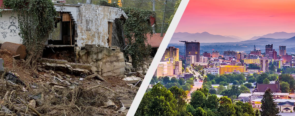 Seeds for Change: Support Asheville’s Recovery with Blue Ridge Haze Auto