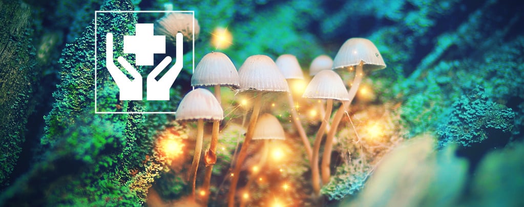 5 Surprising Benefits of Magic Mushrooms
