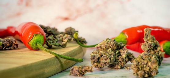 The Surprising Benefits Of Combining Cannabis And Hot Peppers