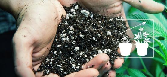 How To Make The Best Soil Mix For Growing Cannabis