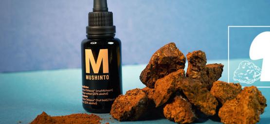 What Is Chaga Mushroom?