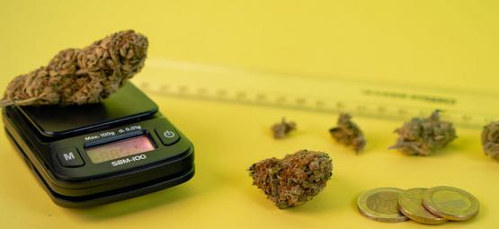 4 Ways To Measure Weed Without Scales