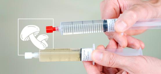 Liquid Culture Syringes Vs Spore Syringes: A Comparison