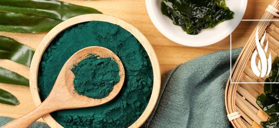 All You Need To Know About Spirulina