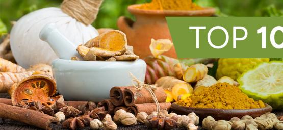 Top 10 Ayurvedic Herbs