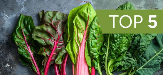 Top 5 Leafy Greens to Grow at Home