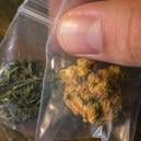 The Different Colours Of Cannabis And What They All Mean